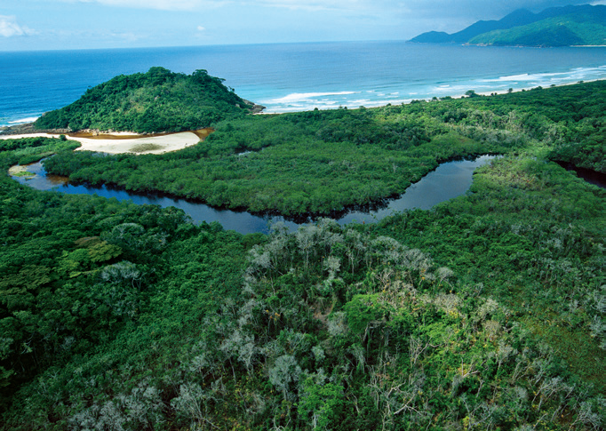 《美丽的地球·南美洲》：大西洋沿岸热带雨林保护区位于巴西东部海岸线的中段，主要在巴伊亚州和圣埃斯皮里图州。保护区中有高山、丘陵和沿海沙丘等不同环境，这里还是世界上单位面积树种最多的地方。